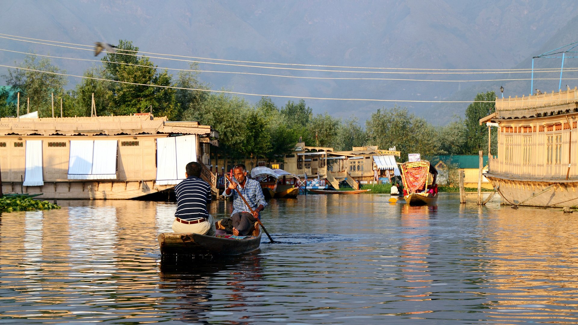 Kashmir Dal Lake shikara at sunrise